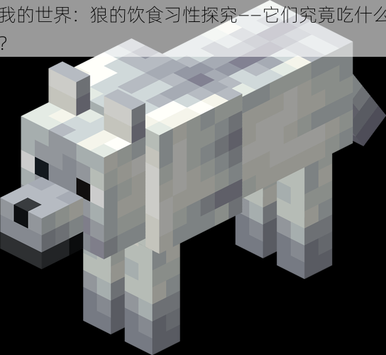 我的世界:狼的饮食习性探究——它们究竟吃什么?