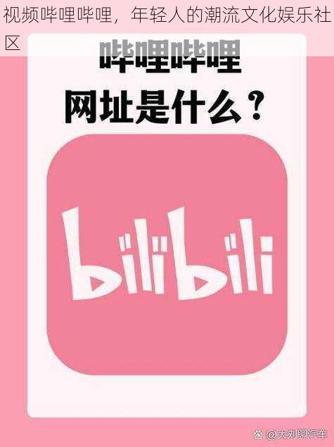 视频哔哩哔哩,年轻人的潮流文化娱乐社区