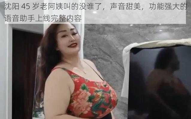 沈阳 45 岁老阿姨叫的没谁了,声音甜美,功能强大的语音助手上线完整内容