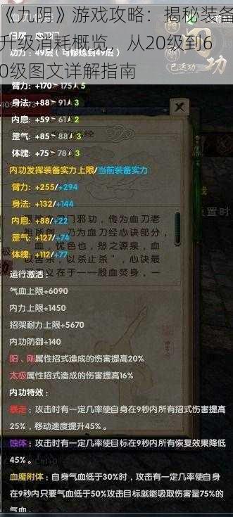 《九阴》游戏攻略:揭秘装备升级消耗概览,从20级到60级图文详解指南