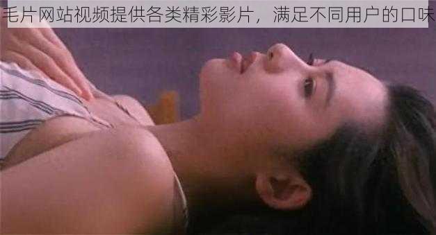 毛片网站视频提供各类精彩影片,满足不同用户的口味