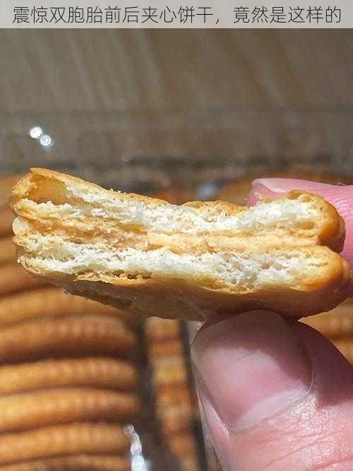 震惊双胞胎前后夹心饼干,竟然是这样的