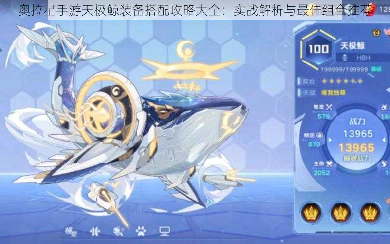 奥拉星手游天极鲸装备搭配攻略大全:实战解析与最佳组合推荐