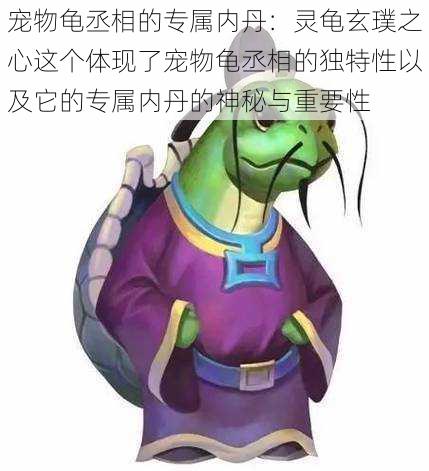 宠物龟丞相的专属内丹:灵龟玄璞之心这个体现了宠物龟丞相的独特性以及它的专属内丹的神秘与重要性