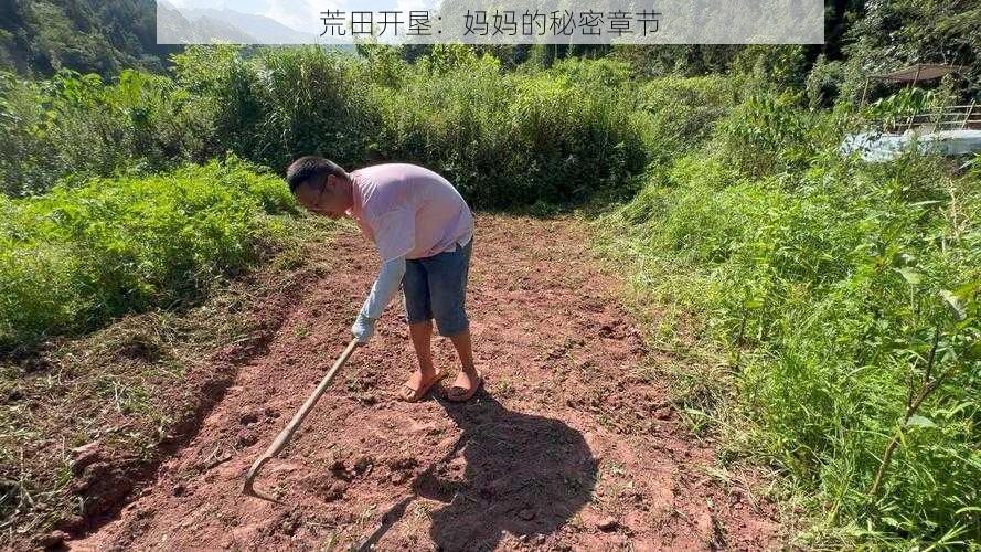 荒田开垦:妈妈的秘密章节