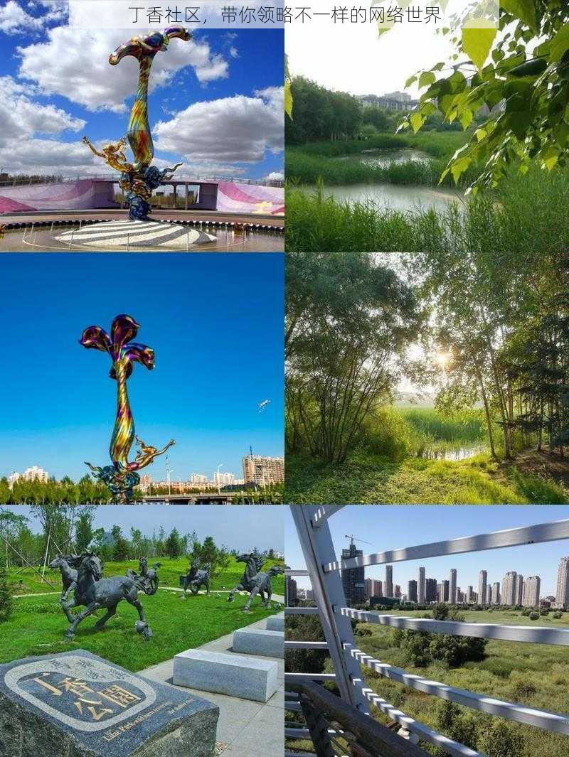 丁香社区,带你领略不一样的网络世界