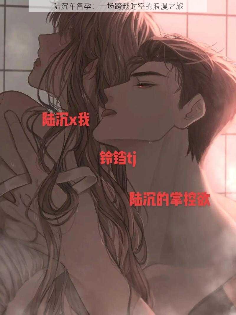 陆沉车备孕:一场跨越时空的浪漫之旅