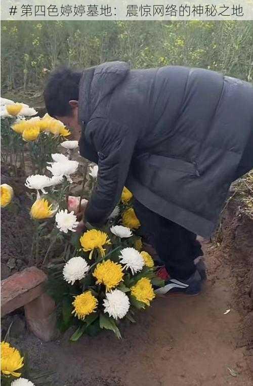 # 第四色婷婷墓地:震惊网络的神秘之地