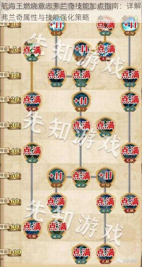航海王燃烧意志弗兰奇技能加点指南:详解弗兰奇属性与技能强化策略
