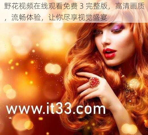 野花视频在线观看免费 3 完整版,高清画质,流畅体验,让你尽享视觉盛宴