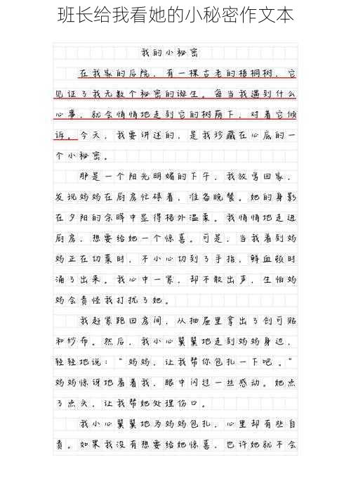 班长给我看她的小秘密作文本