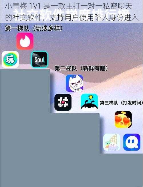 小青梅 1V1 是一款主打一对一私密聊天的社交软件,支持用户使用路人身份进入