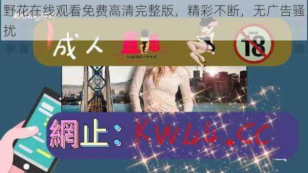 野花在线观看免费高清完整版,精彩不断,无广告骚扰