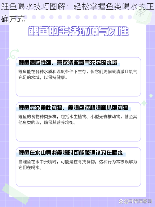 鲤鱼喝水技巧图解：轻松掌握鱼类喝水的正确方式