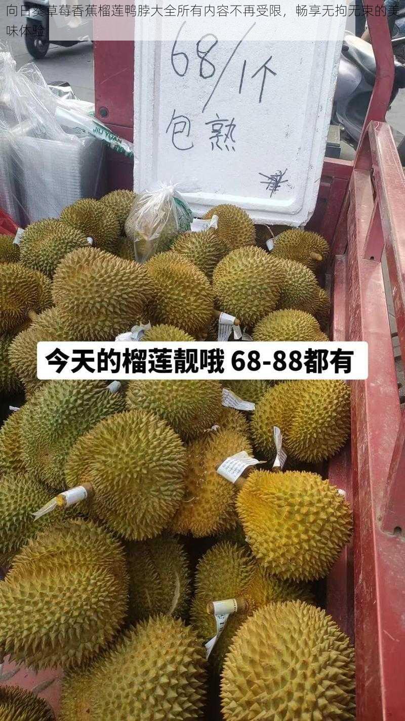 向日葵草莓香蕉榴莲鸭脖大全所有内容不再受限,畅享无拘无束的美味体验