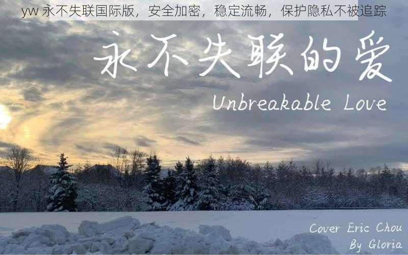 yw 永不失联国际版,安全加密,稳定流畅,保护隐私不被追踪