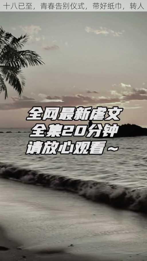 十八已至,青春告别仪式,带好纸巾,转人