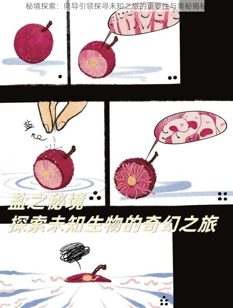 秘境探索:向导引领探寻未知之旅的重要性与奥秘揭秘