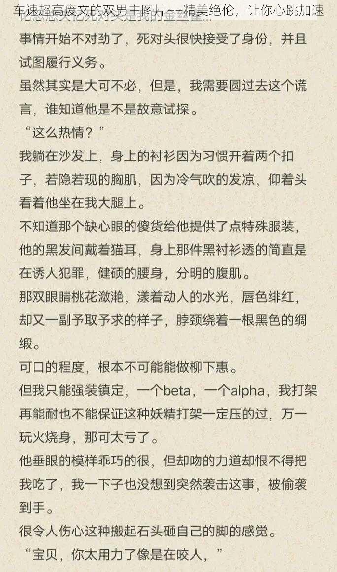 车速超高废文的双男主图片——精美绝伦,让你心跳加速