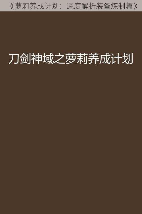 《萝莉养成计划:深度解析装备炼制篇》