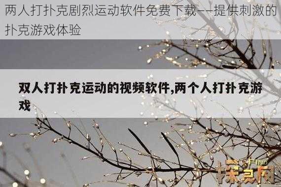 两人打扑克剧烈运动软件免费下载——提供刺激的扑克游戏体验