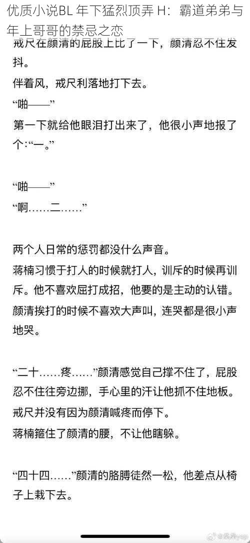 优质小说BL 年下猛烈顶弄 H:霸道弟弟与年上哥哥的禁忌之恋