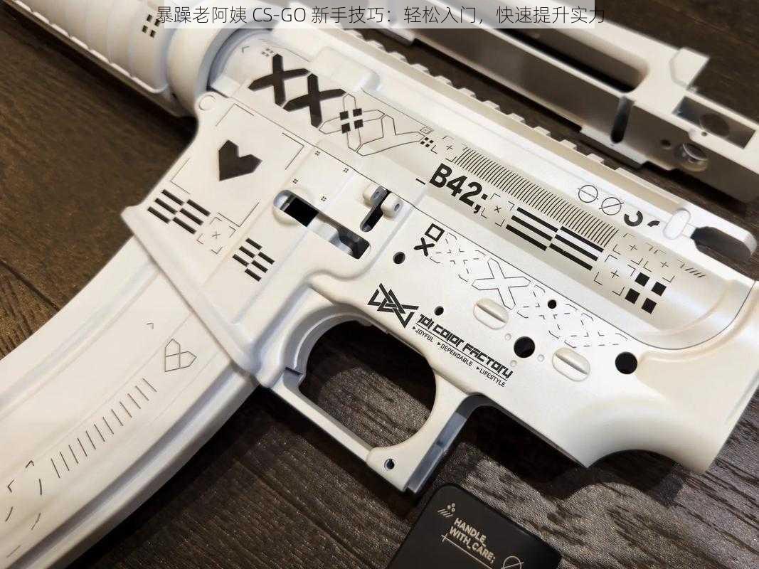 暴躁老阿姨 CS-GO 新手技巧:轻松入门,快速提升实力