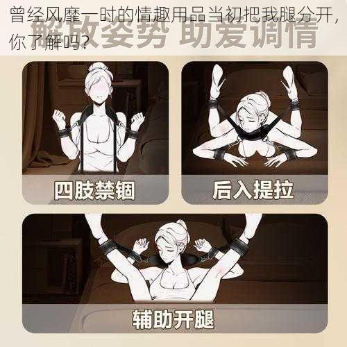曾经风靡一时的情趣用品当初把我腿分开,你了解吗?