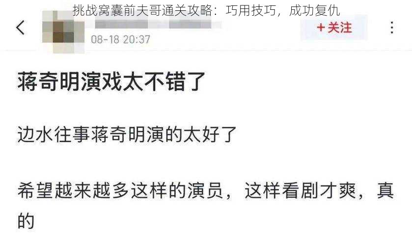 挑战窝囊前夫哥通关攻略:巧用技巧,成功复仇
