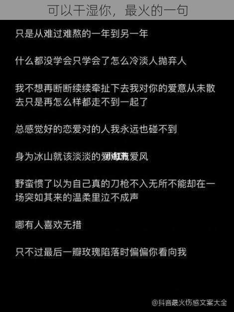 可以干湿你,最火的一句
