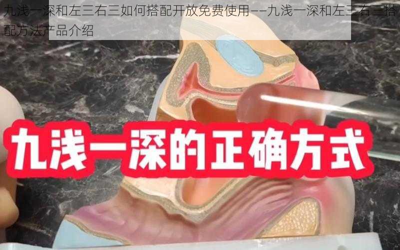 九浅一深和左三右三如何搭配开放免费使用——九浅一深和左三右三搭配方法产品介绍