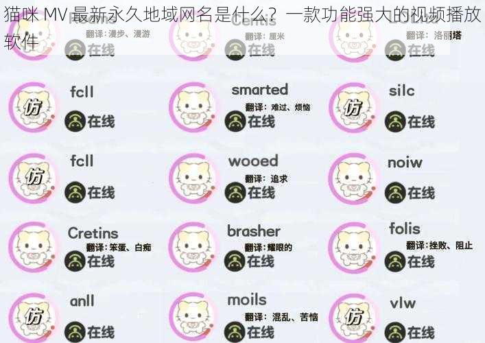 猫咪 MV 最新永久地域网名是什么?一款功能强大的视频播放软件