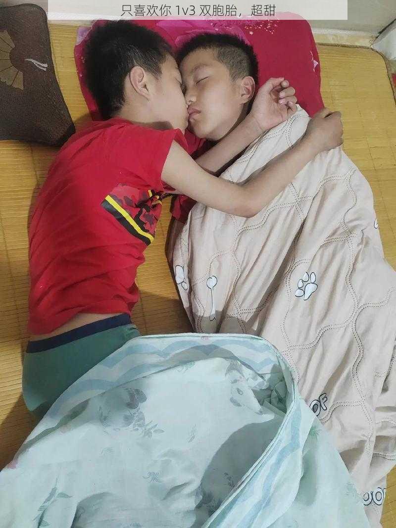 只喜欢你 1v3 双胞胎,超甜