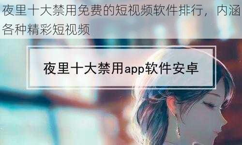 夜里十大禁用免费的短视频软件排行,内涵各种精彩短视频