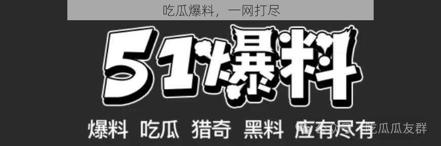 吃瓜爆料,一网打尽