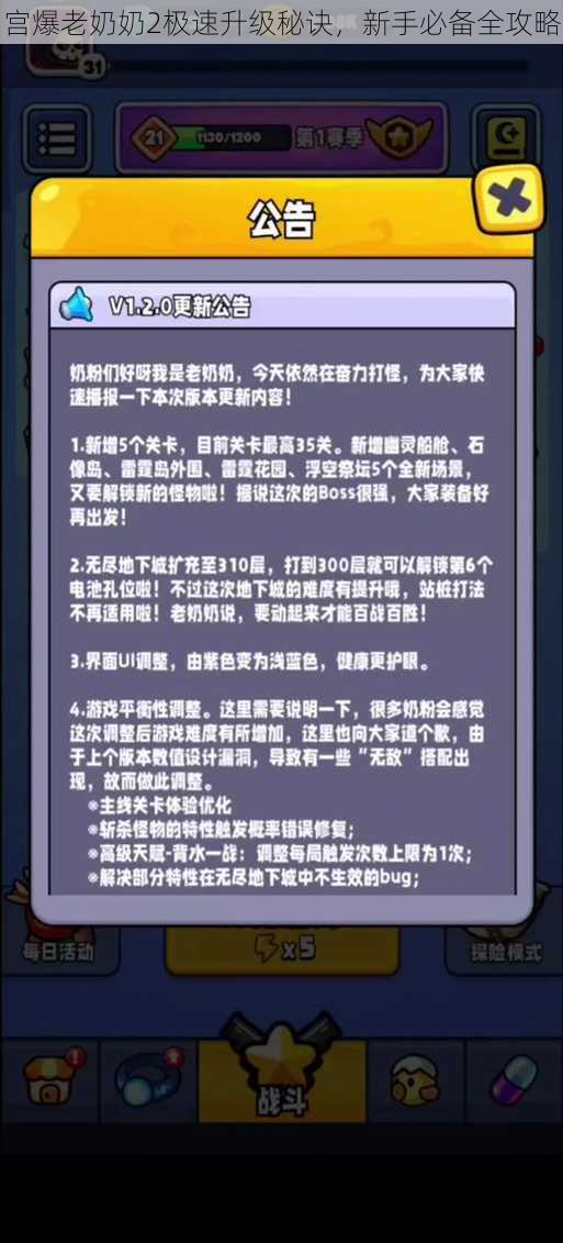 宫爆老奶奶2极速升级秘诀,新手必备全攻略