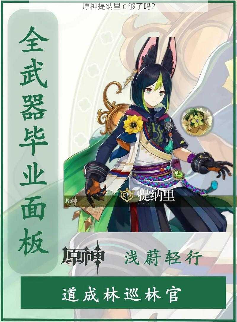 原神提纳里 c 够了吗?