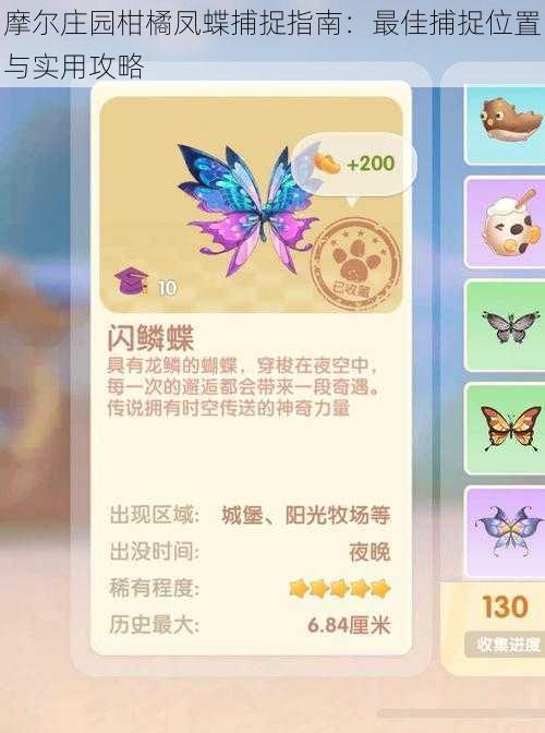 摩尔庄园柑橘凤蝶捕捉指南:最佳捕捉位置与实用攻略
