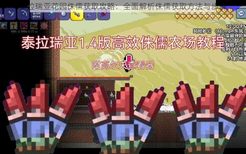 泰拉瑞亚花园侏儒获取攻略:全面解析侏儒获取方法与步骤