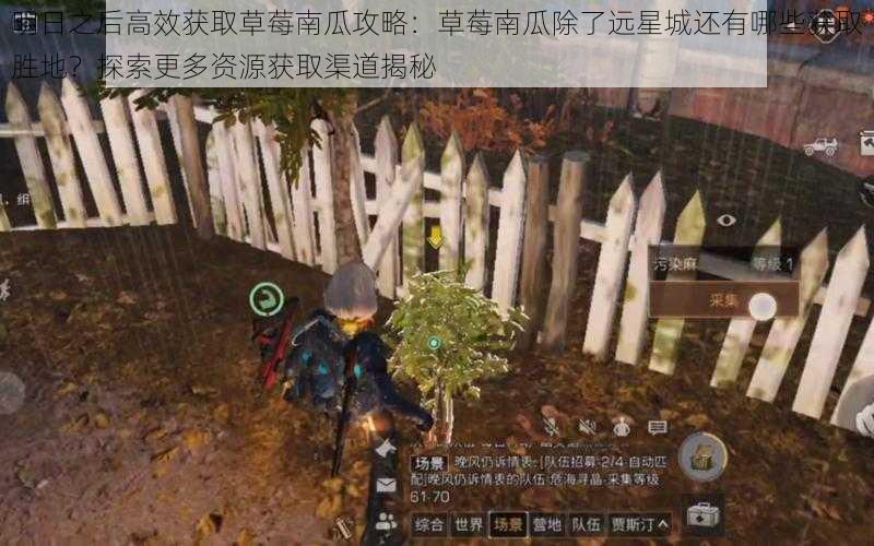 明日之后高效获取草莓南瓜攻略:草莓南瓜除了远星城还有哪些获取胜地?探索更多资源获取渠道揭秘