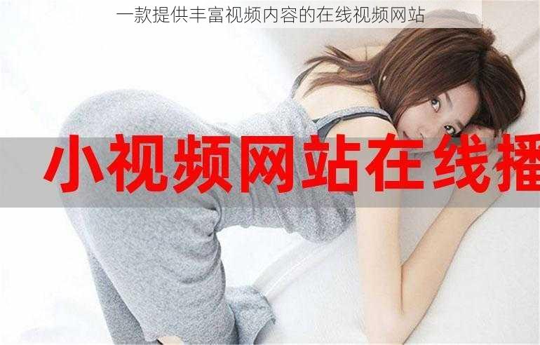 一款提供丰富视频内容的在线视频网站