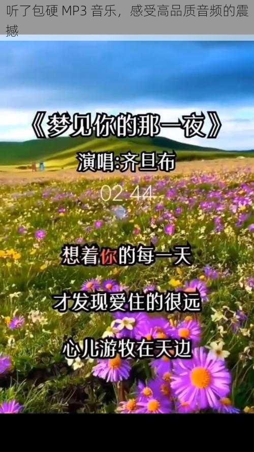 听了包硬 MP3 音乐,感受高品质音频的震撼