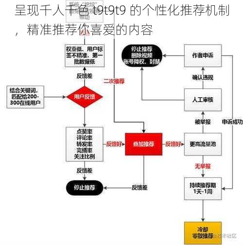 呈现千人千色 t9t9t9 的个性化推荐机制,精准推荐你喜爱的内容