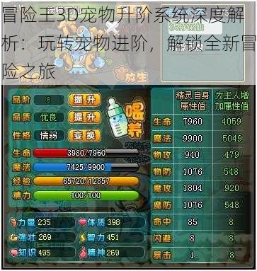 冒险王3D宠物升阶系统深度解析:玩转宠物进阶,解锁全新冒险之旅