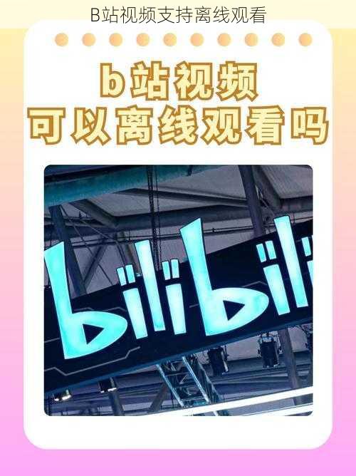 B站视频支持离线观看