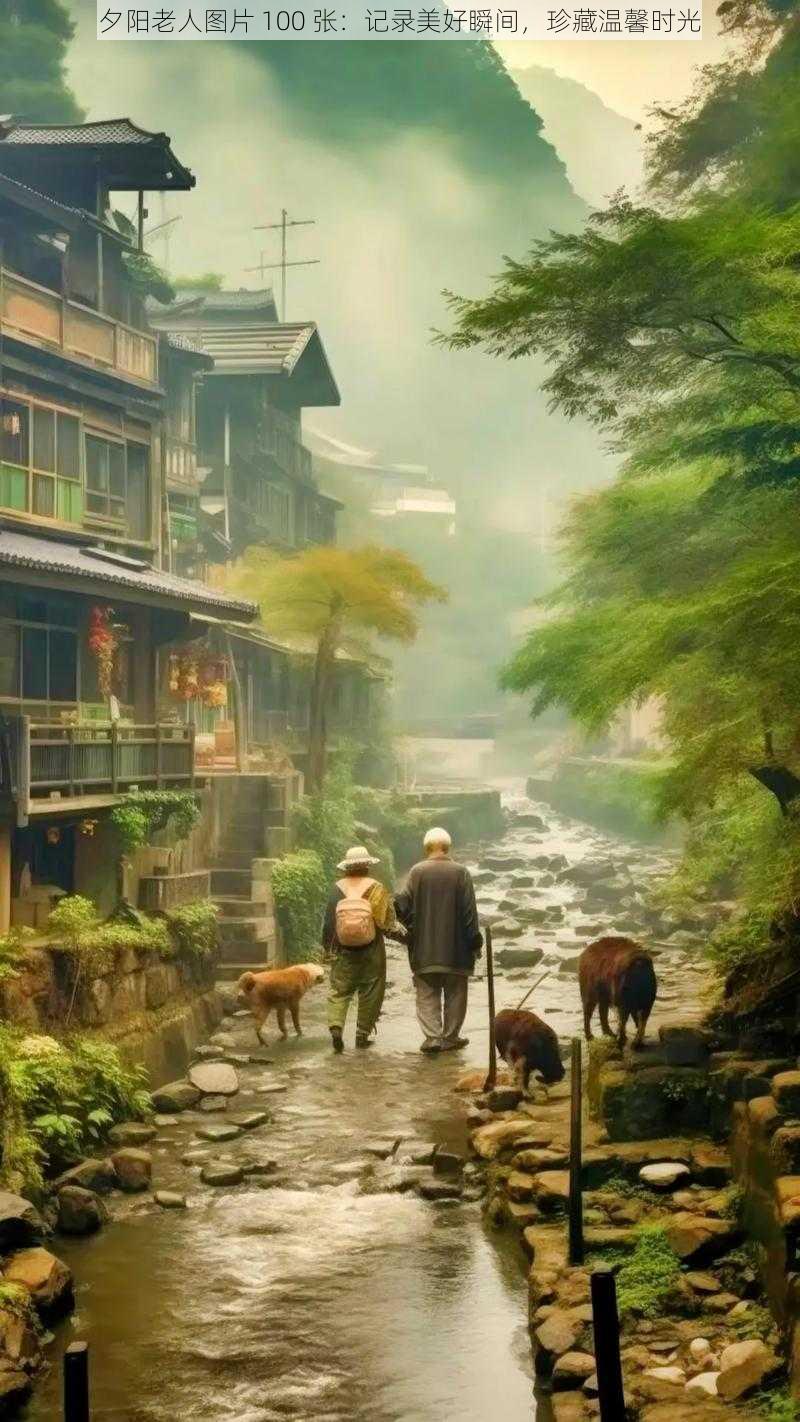 夕阳老人图片 100 张:记录美好瞬间,珍藏温馨时光