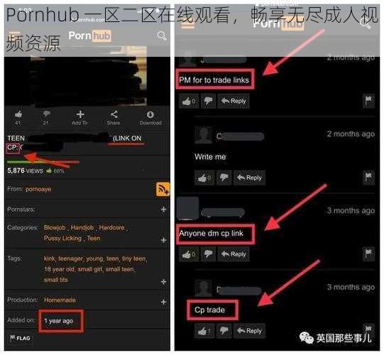 Pornhub 一区二区在线观看,畅享无尽成人视频资源