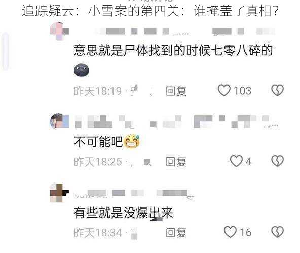 追踪疑云:小雪案的第四关:谁掩盖了真相?