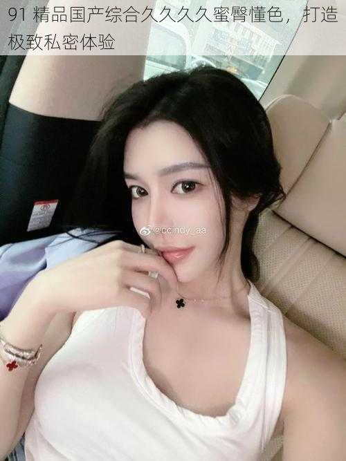 91 精品国产综合久久久久蜜臀懂色,打造极致私密体验