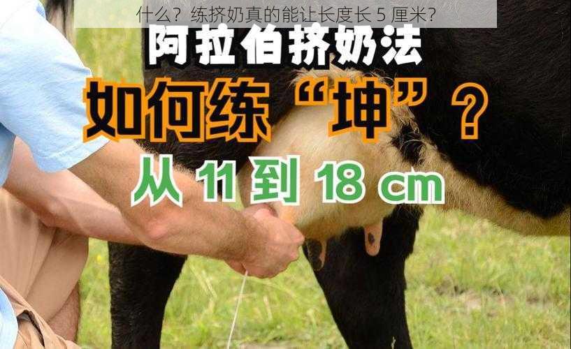 什么?练挤奶真的能让长度长 5 厘米?
